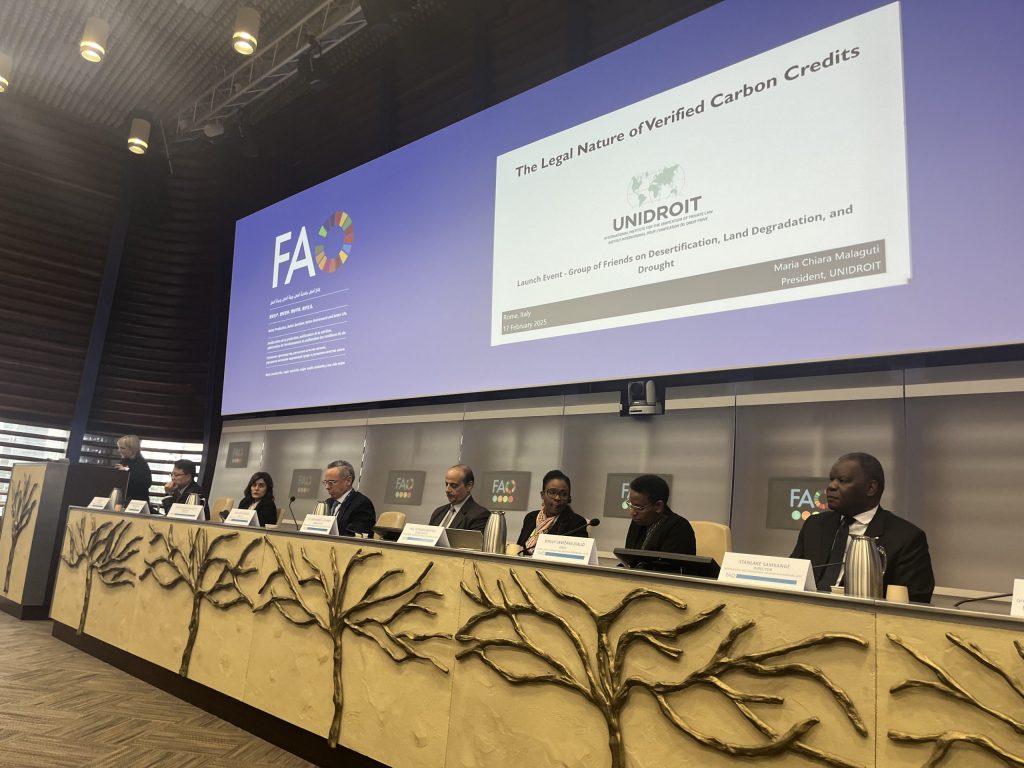 UNIDROIT represented at GoF-DLDD Launch in Rome